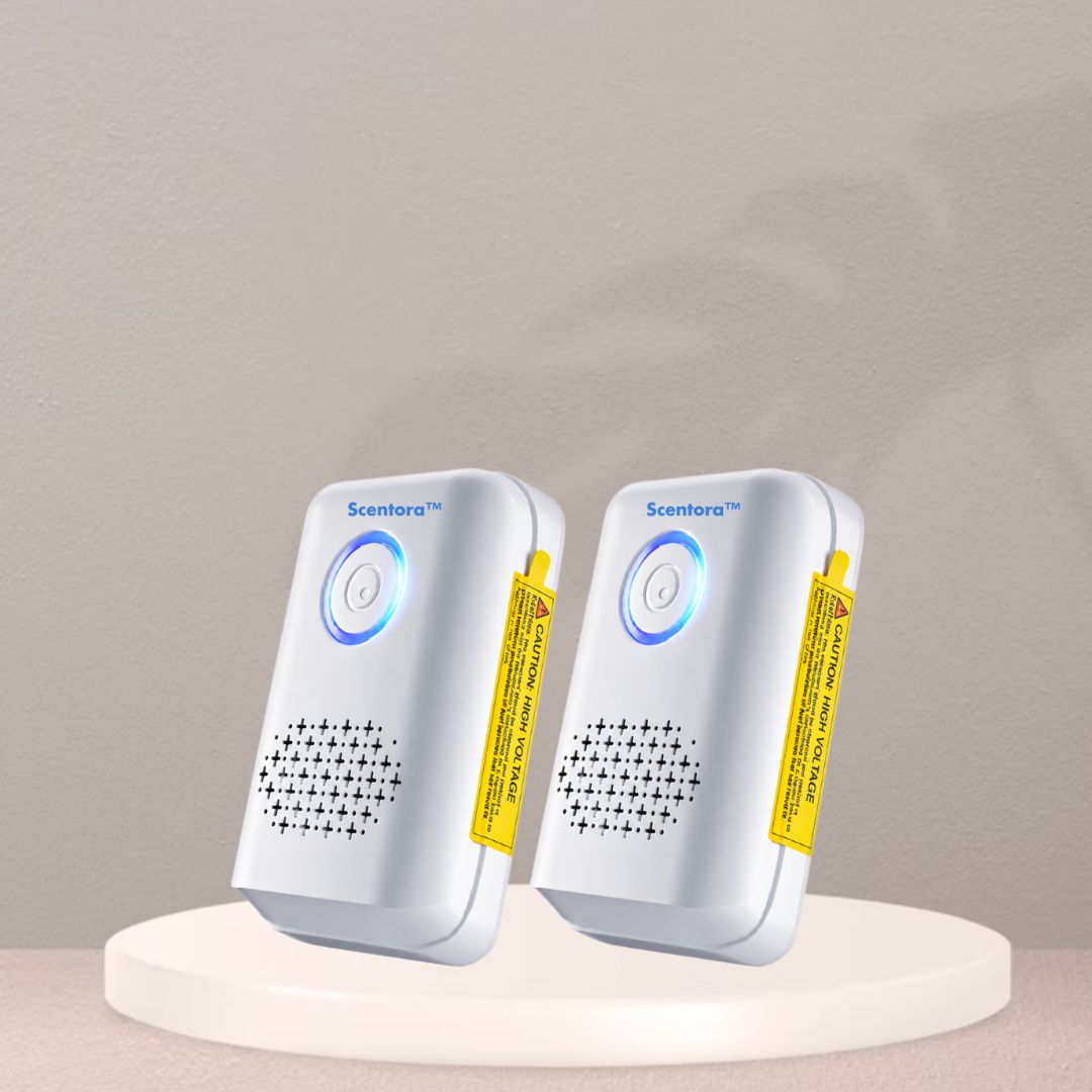 Scentora  FI