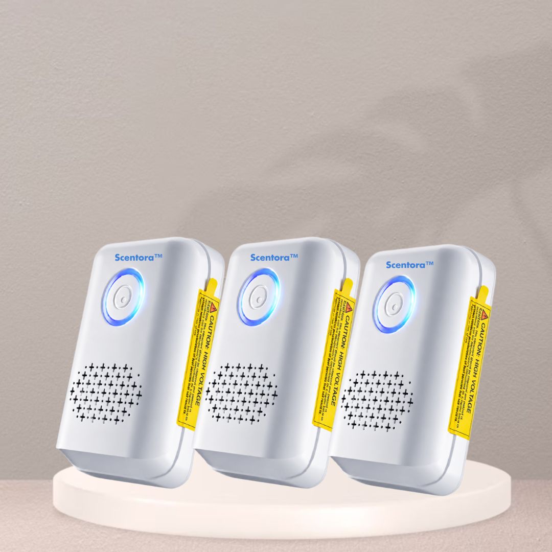 Scentora  FI