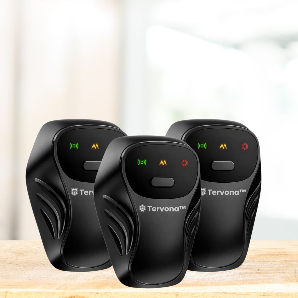 Tervano DE